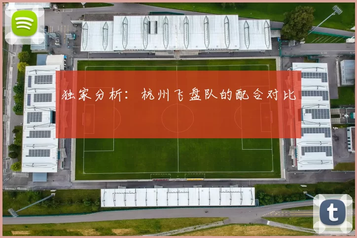 独家分析：杭州飞盘队的配合对比