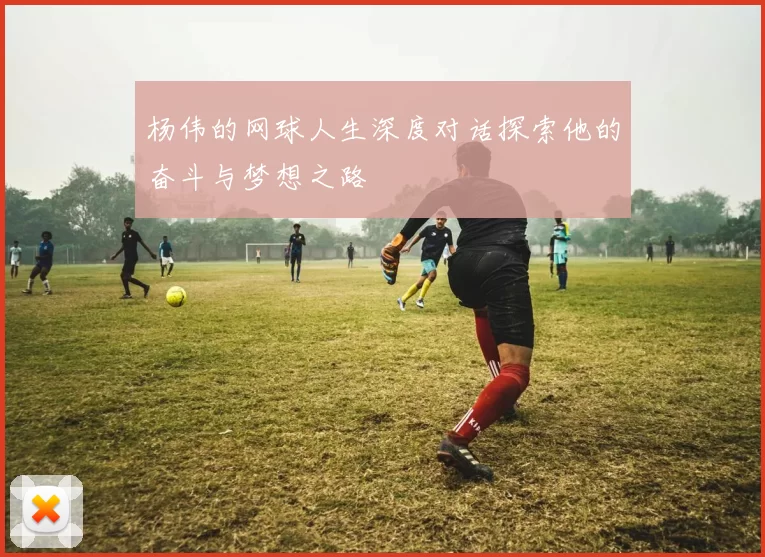 杨伟的网球人生深度对话探索他的奋斗与梦想之路