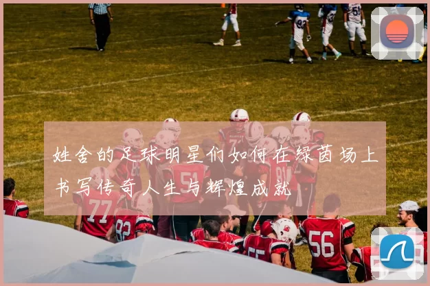 姓舍的足球明星们如何在绿茵场上书写传奇人生与辉煌成就