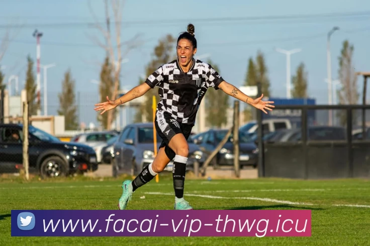 星空体育服务体系